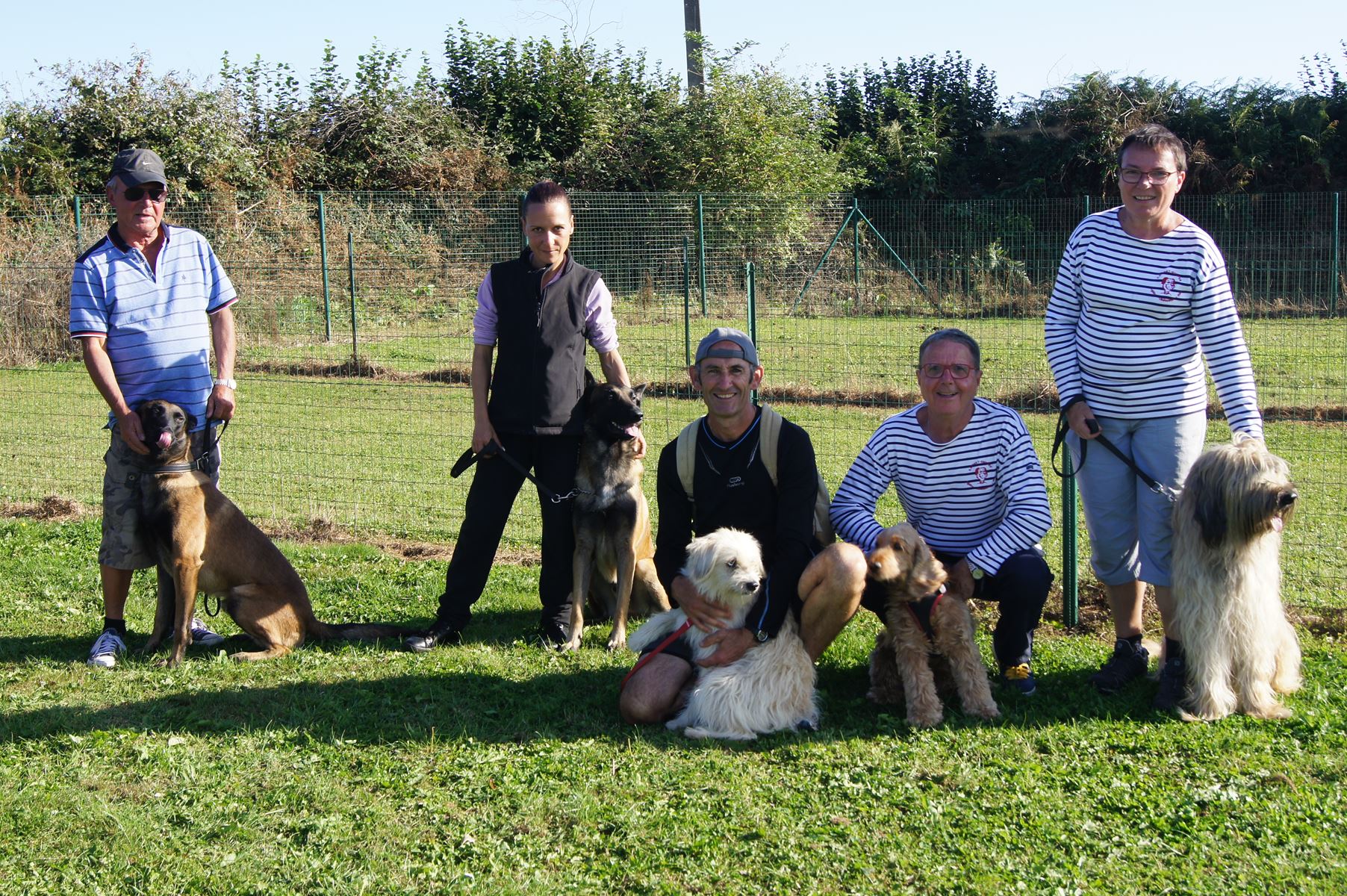 Equipe agility