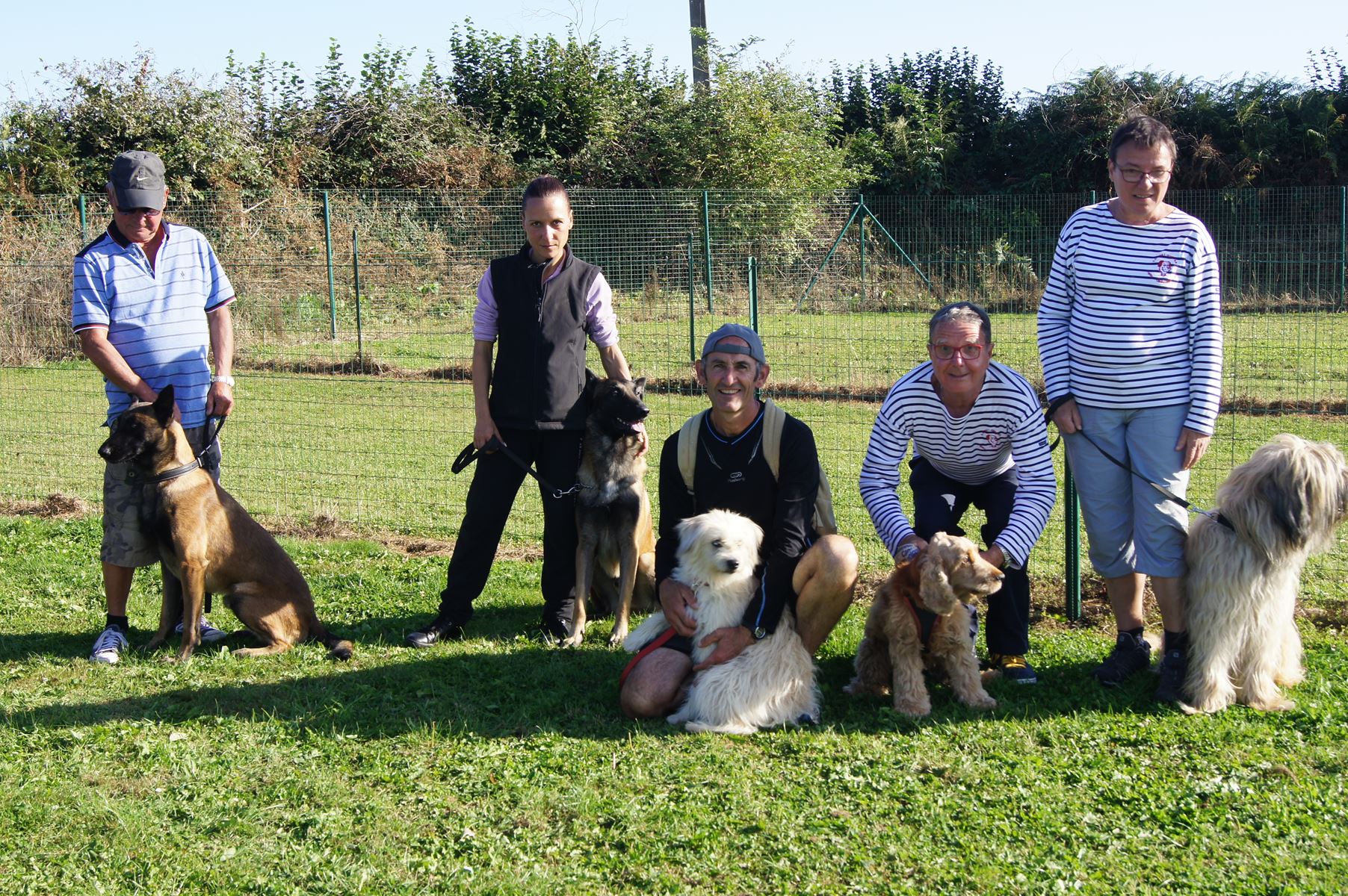 Equipe agility