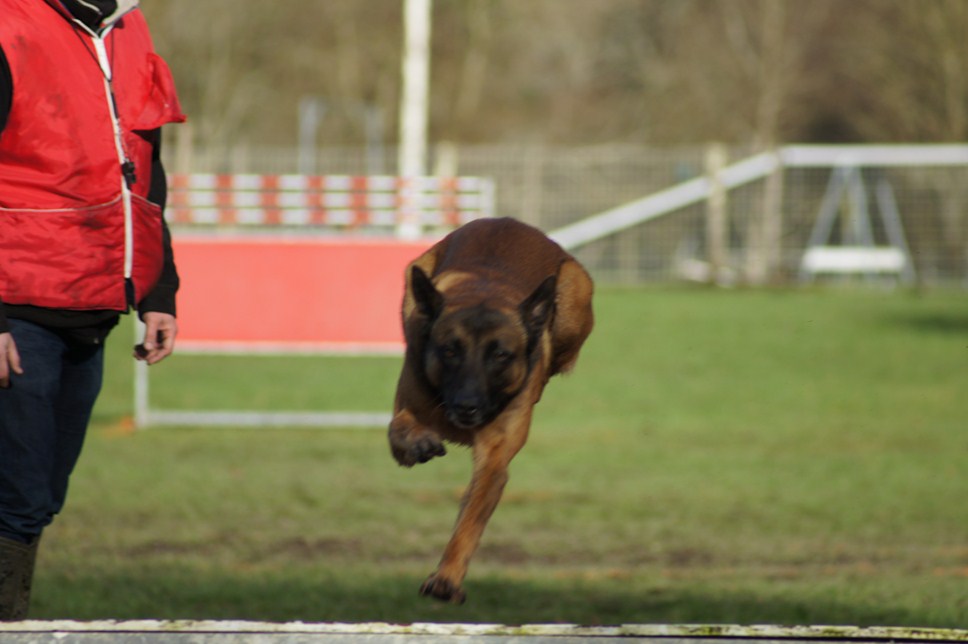 ALPHA du Val de Chezine et Bruno SENS