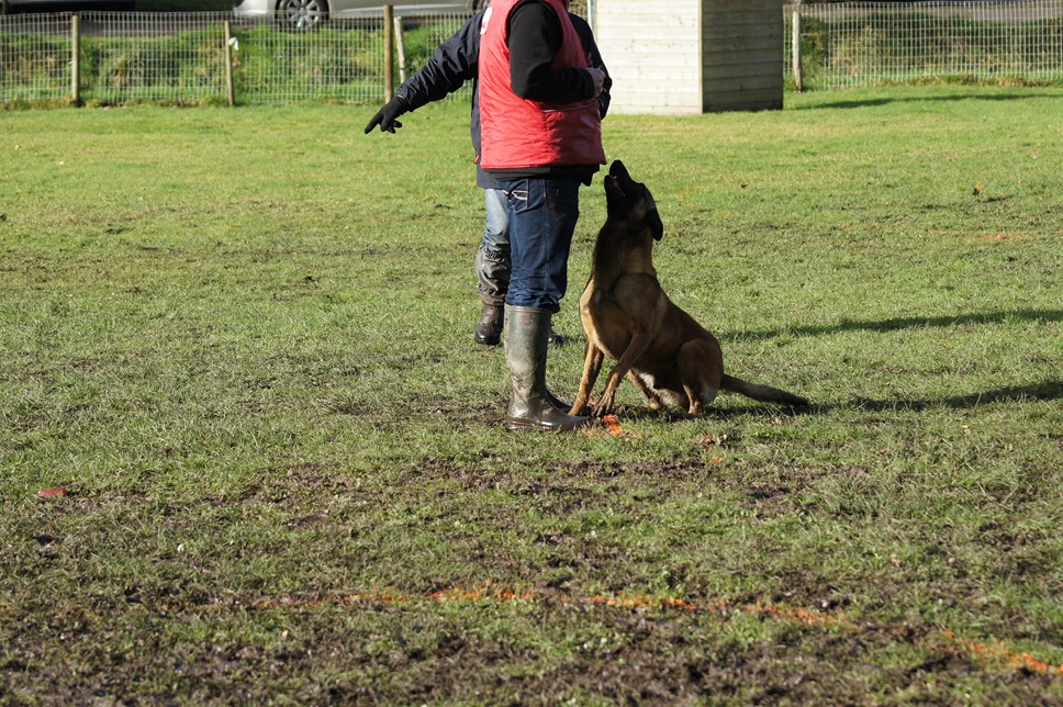 ALPHA du Val de Chezine et Bruno SENS