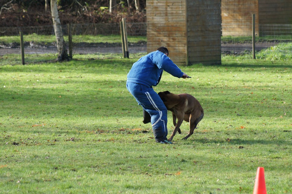 ALPHA du Val de Chezine et Bruno SENS