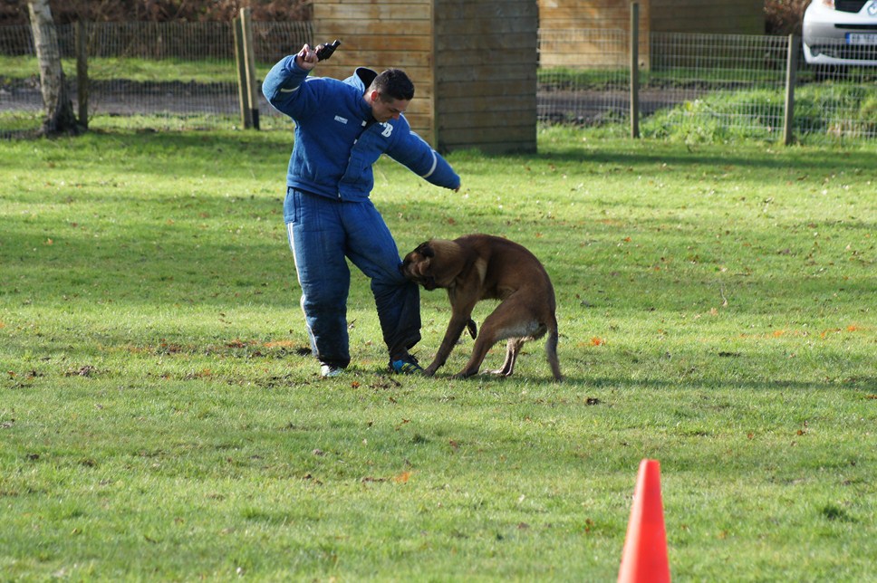 ALPHA du Val de Chezine et Bruno SENS