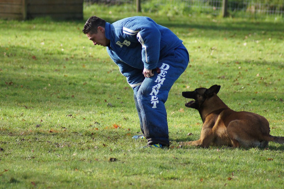 ALPHA du Val de Chezine et Bruno SENS