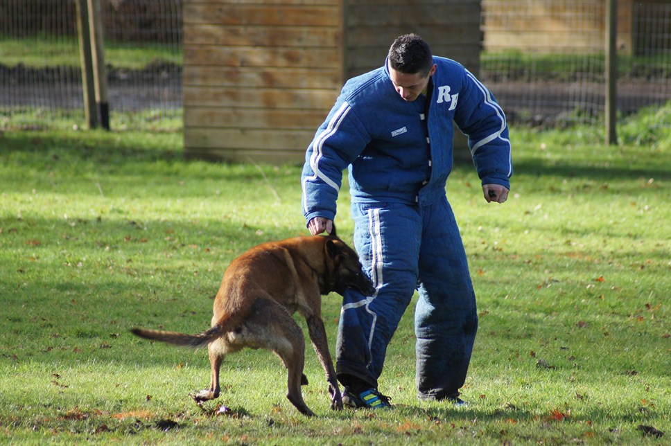 ALPHA du Val de Chezine et Bruno SENS