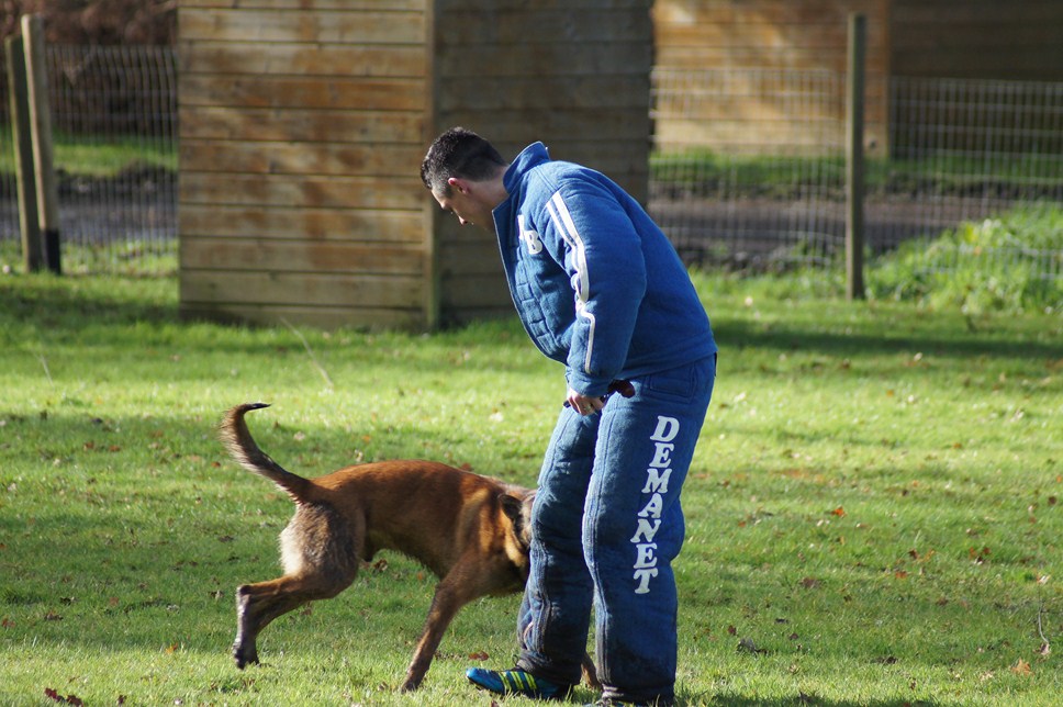 ALPHA du Val de Chezine et Bruno SENS