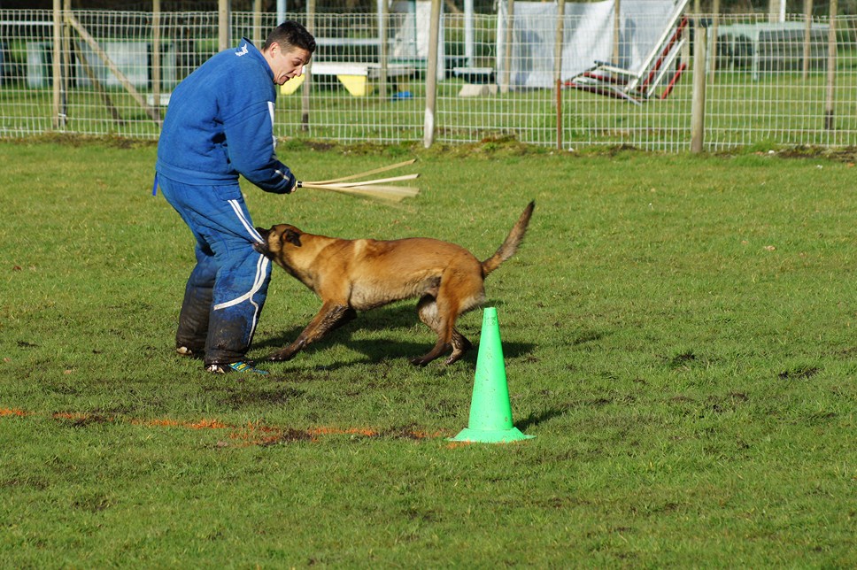 ALPHA du Val de Chezine et Bruno SENS