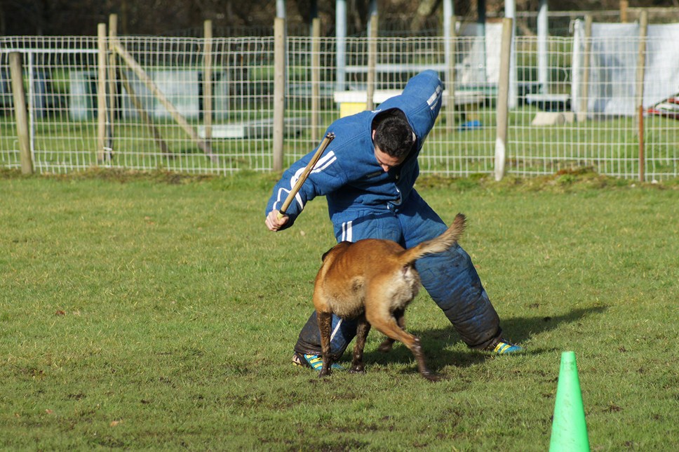 ALPHA du Val de Chezine et Bruno SENS