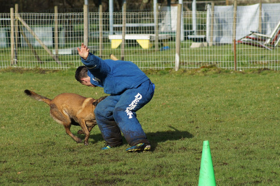 ALPHA du Val de Chezine et Bruno SENS