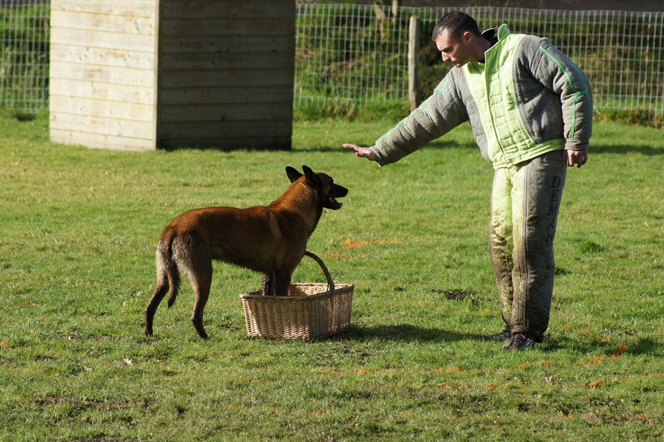 ALPHA du Val de Chezine et Bruno SENS