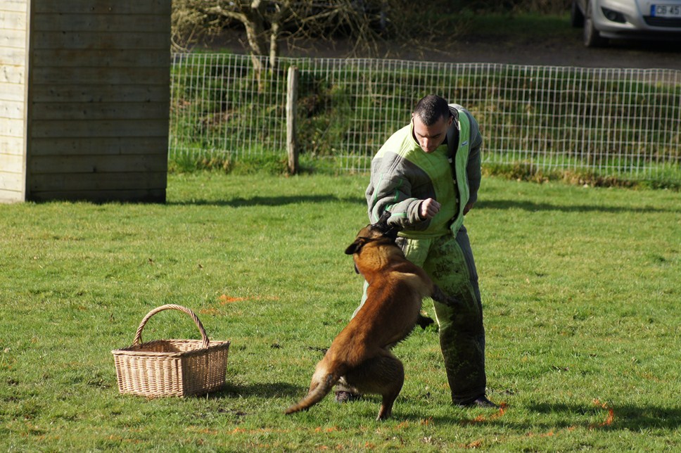 ALPHA du Val de Chezine et Bruno SENS