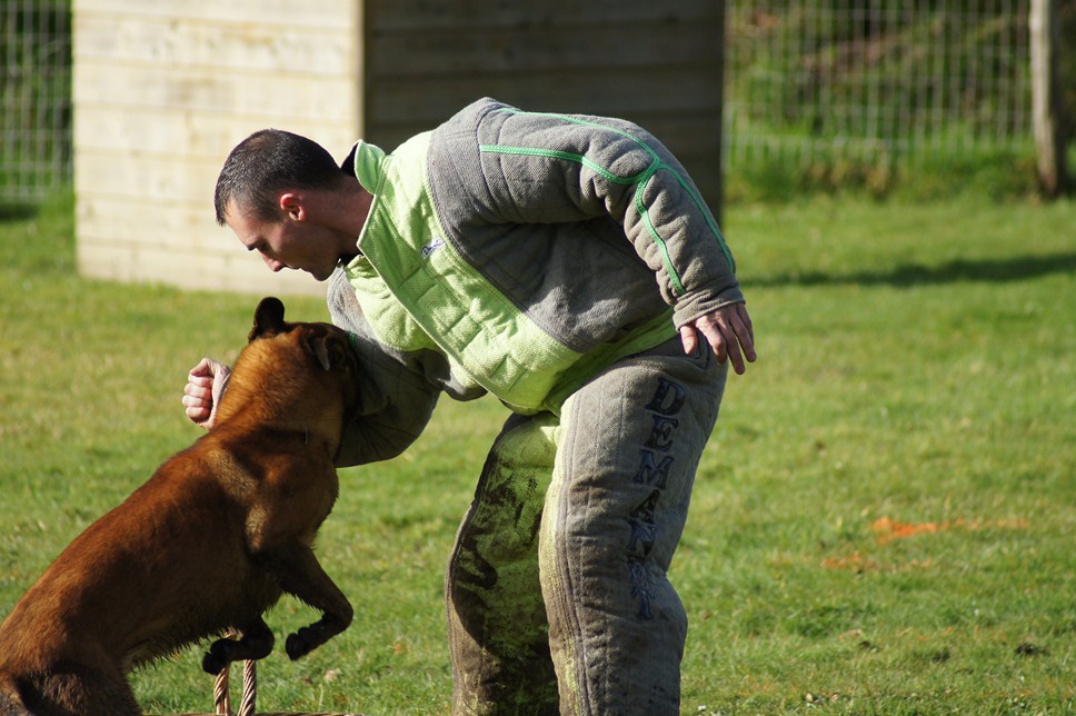 ALPHA du Val de Chezine et Bruno SENS