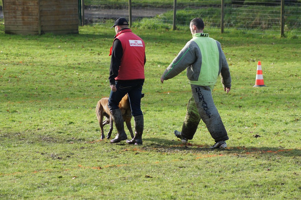 ALPHA du Val de Chezine et Bruno SENS