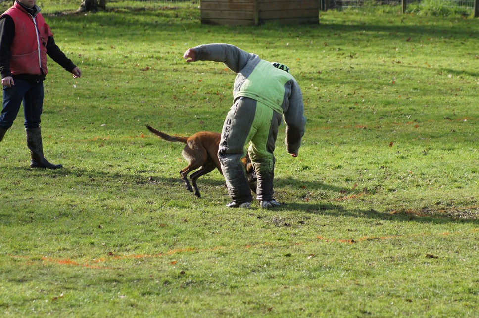 ALPHA du Val de Chezine et Bruno SENS