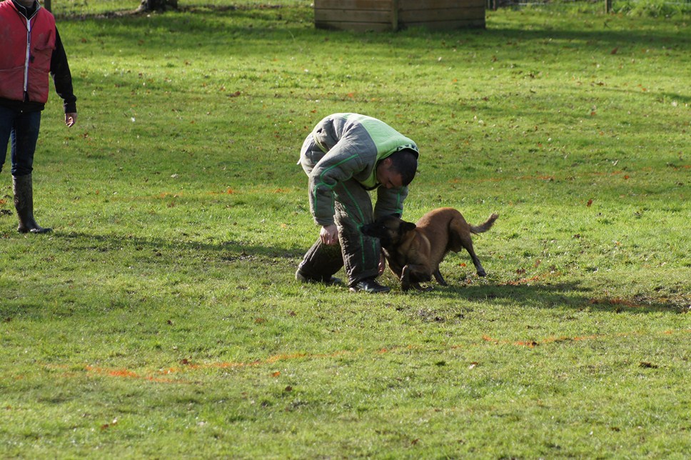 ALPHA du Val de Chezine et Bruno SENS