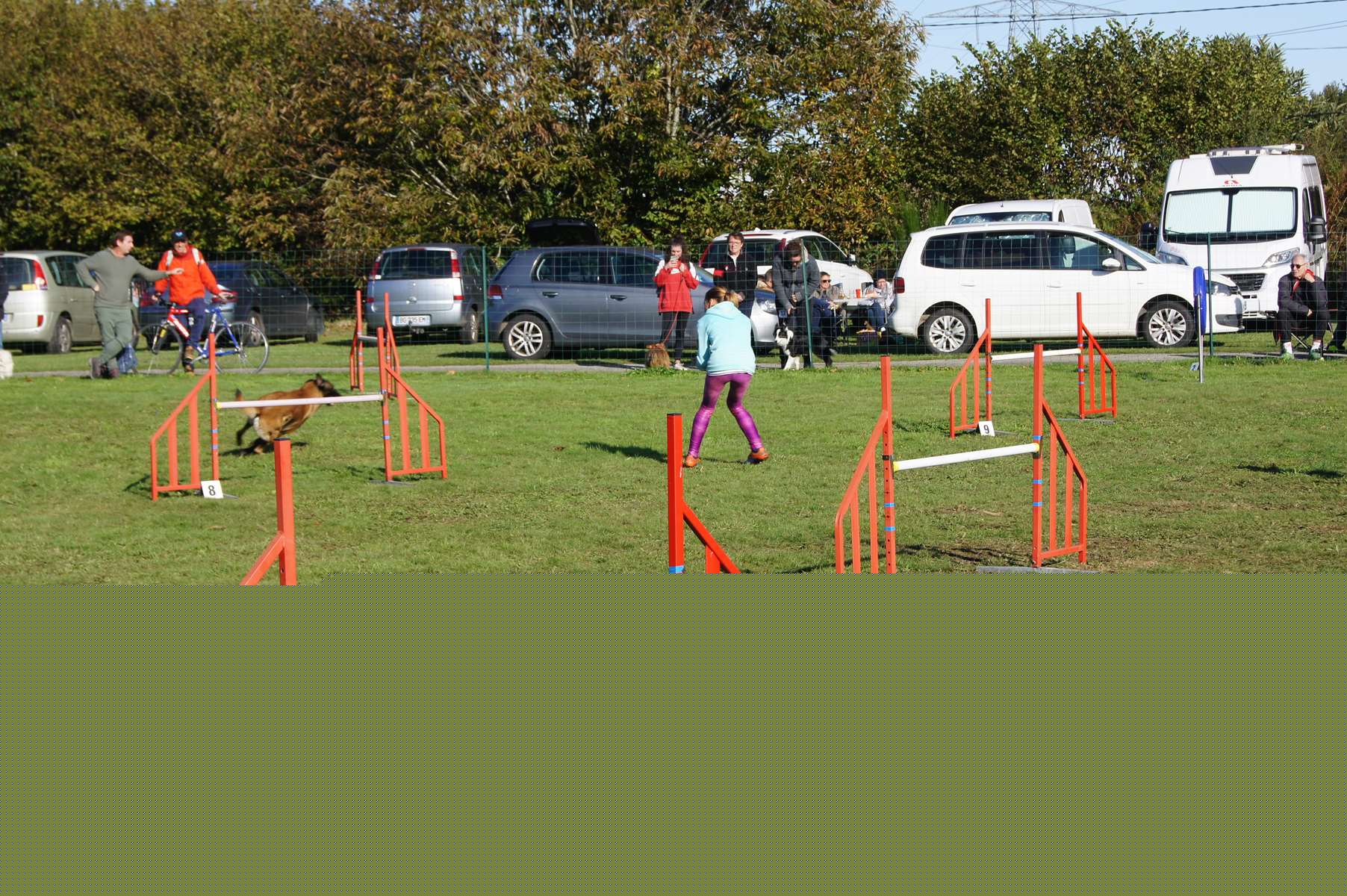 DSC02766