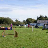 DSC02781