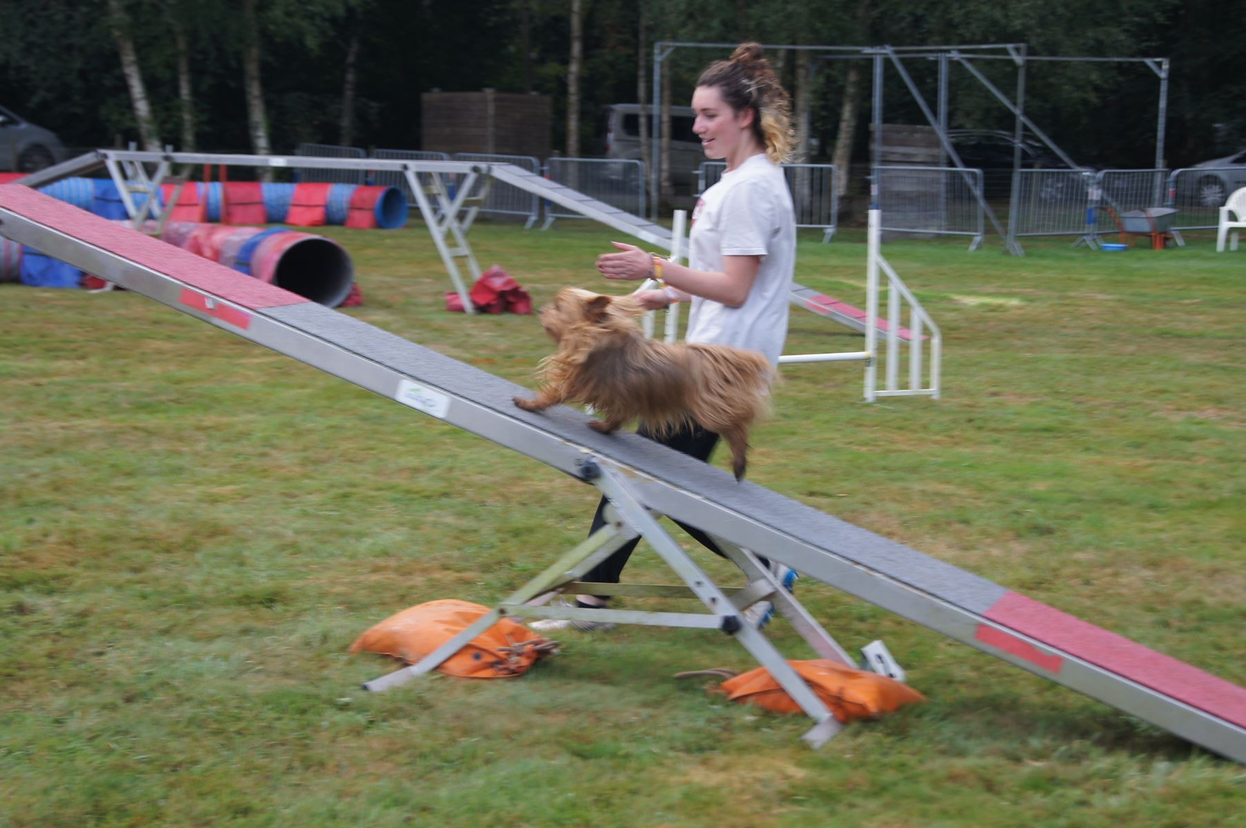  CONCOURS AGILITY 28 AOÛT 2022