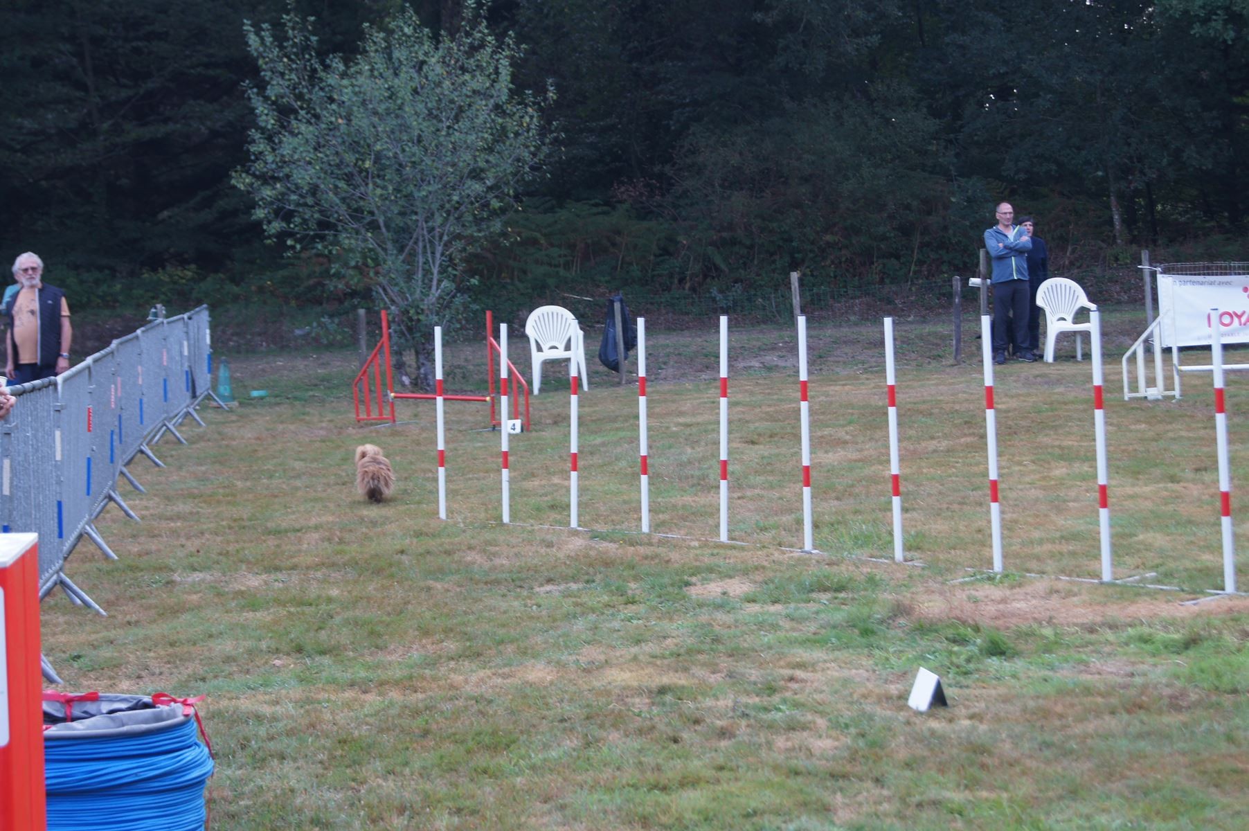  CONCOURS AGILITY 28 AOÛT 2022