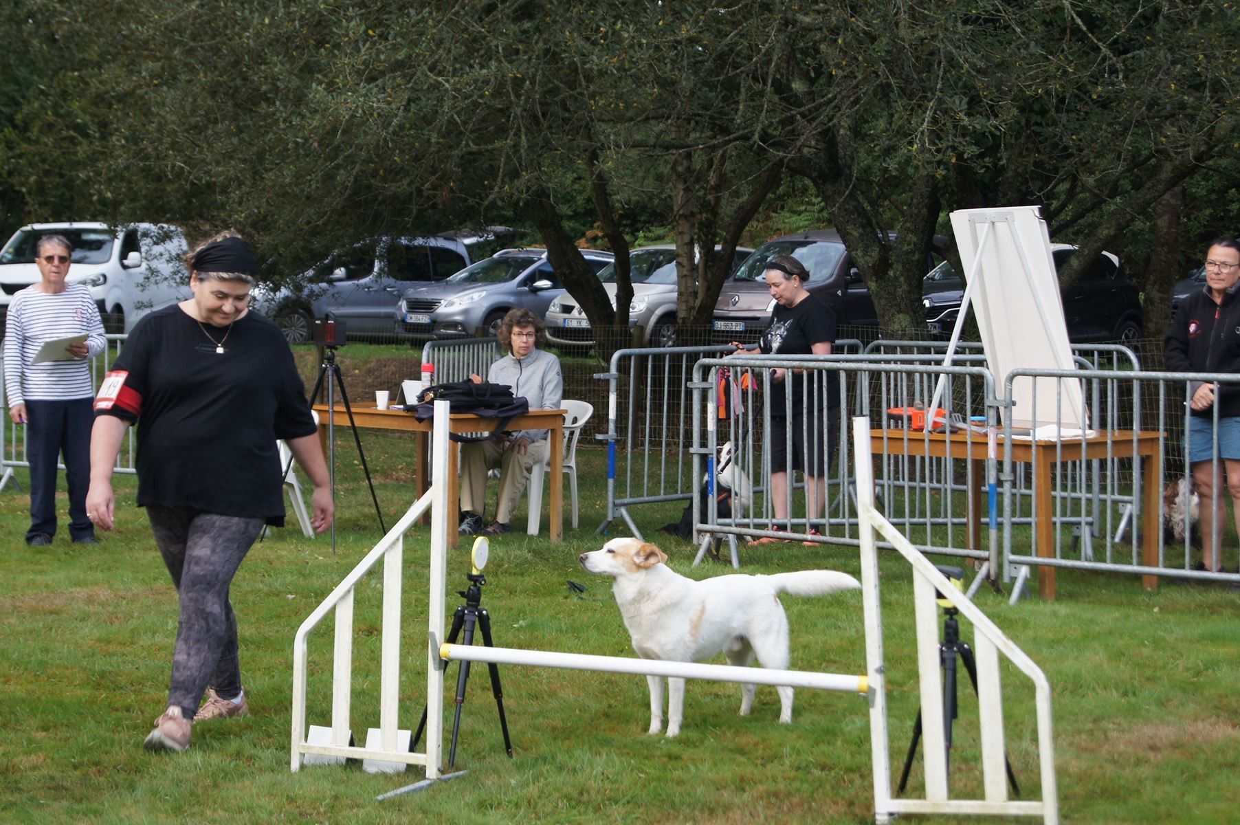  CONCOURS AGILITY 28 AOÛT 2022