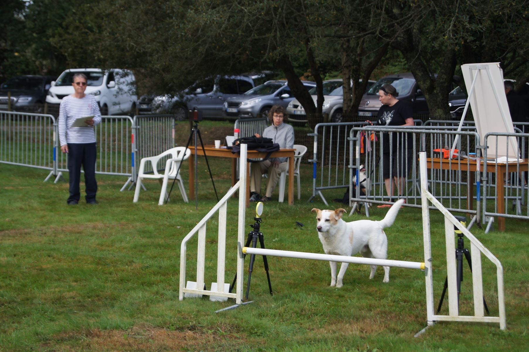  CONCOURS AGILITY 28 AOÛT 2022