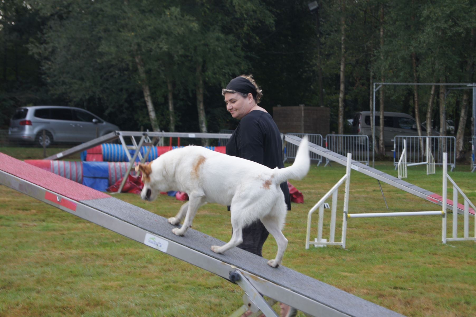  CONCOURS AGILITY 28 AOÛT 2022