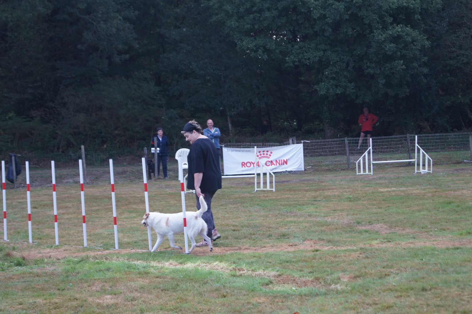  CONCOURS AGILITY 28 AOÛT 2022