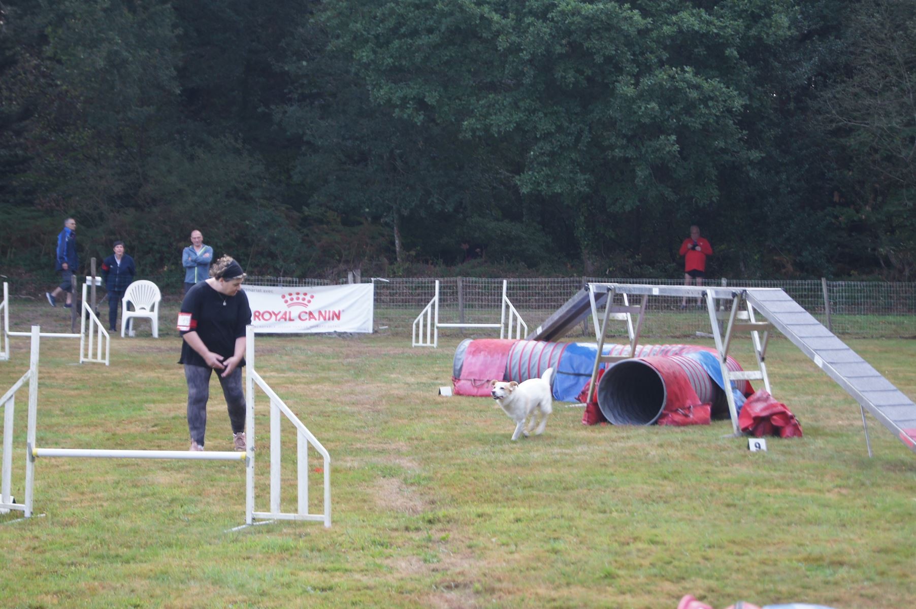  CONCOURS AGILITY 28 AOÛT 2022