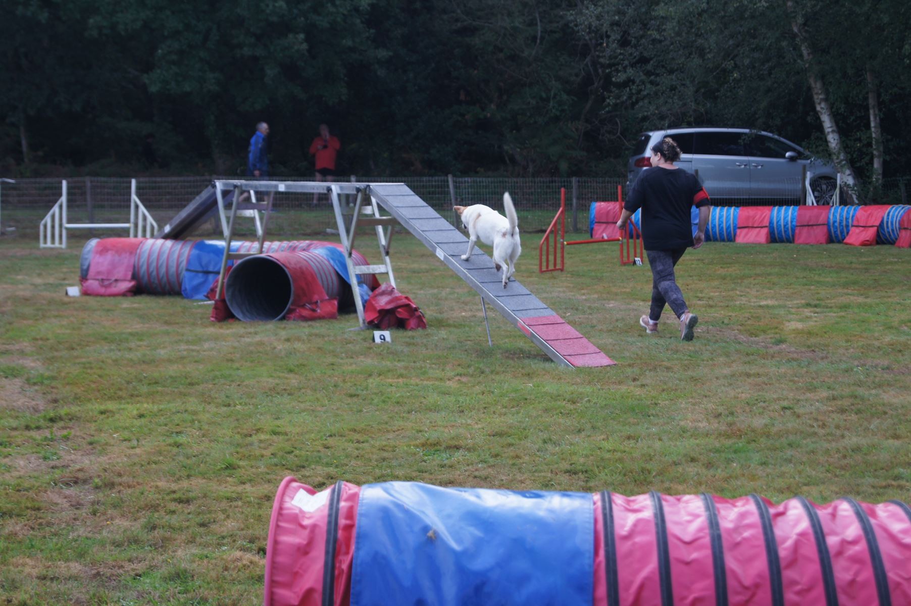  CONCOURS AGILITY 28 AOÛT 2022