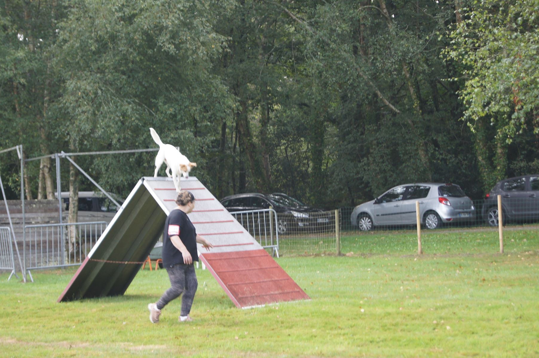  CONCOURS AGILITY 28 AOÛT 2022