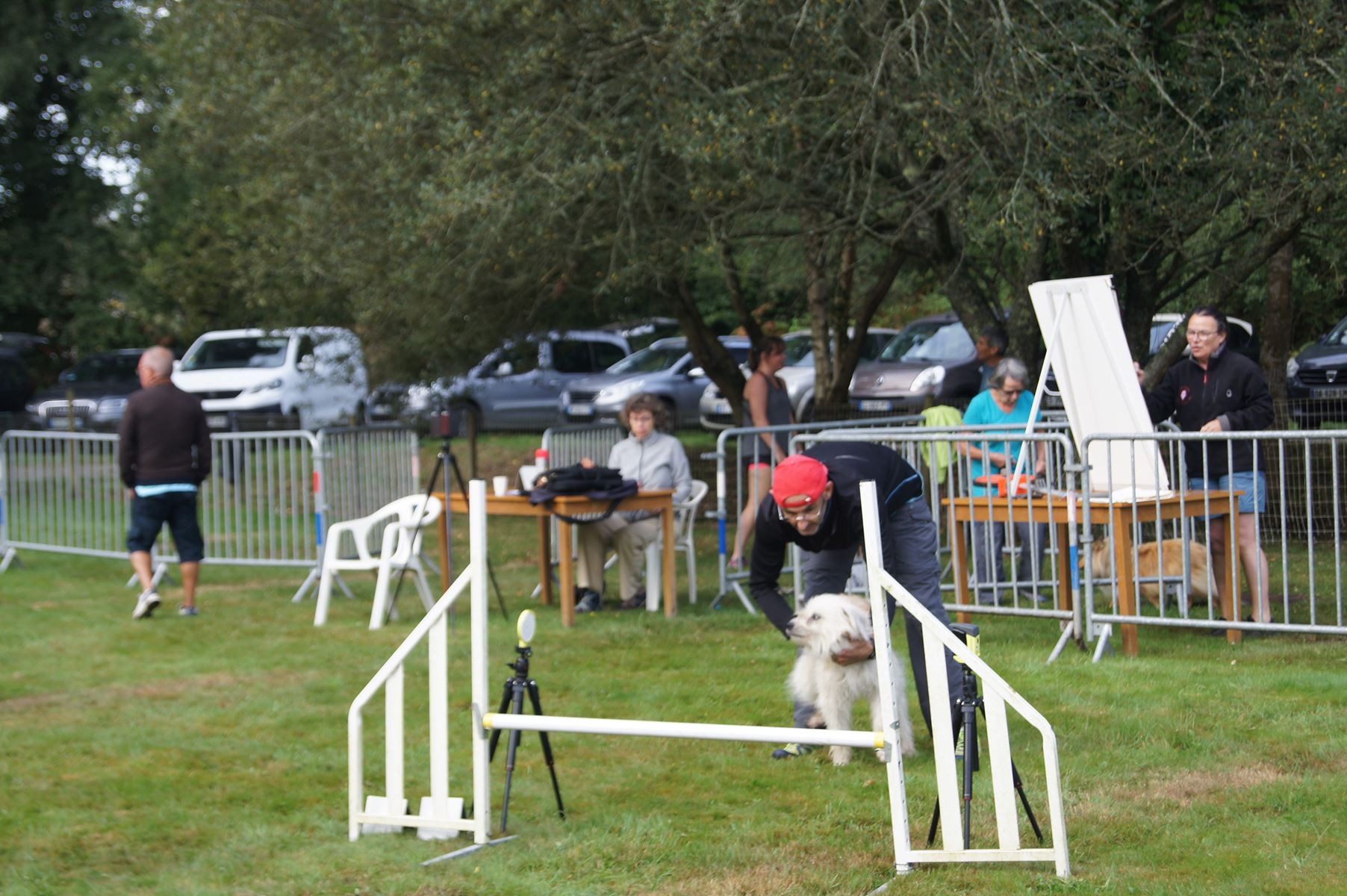  CONCOURS AGILITY 28 AOÛT 2022