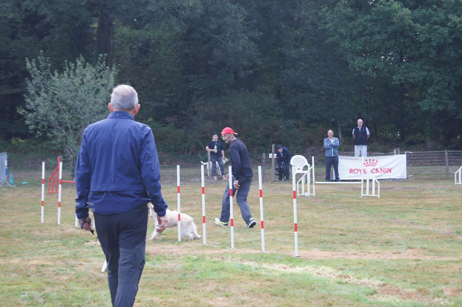  CONCOURS AGILITY 28 AOÛT 2022