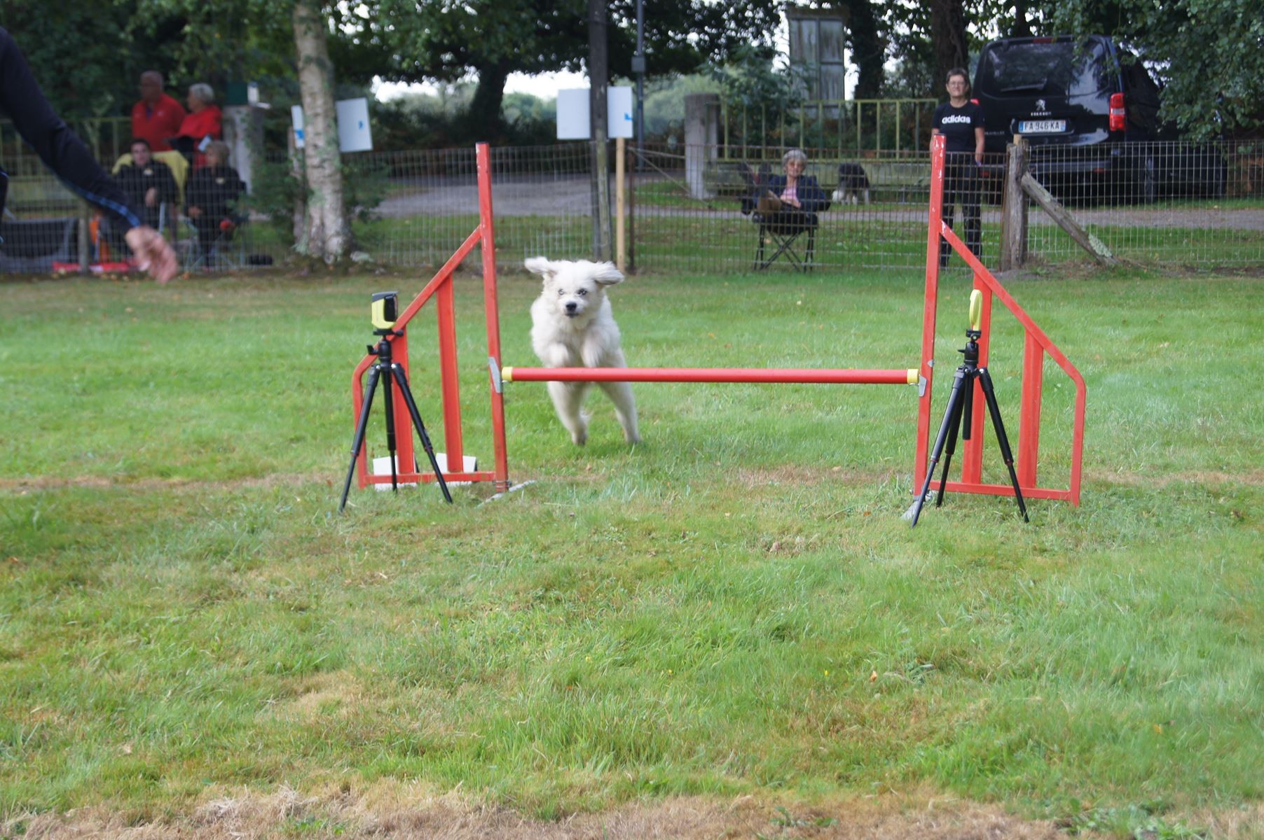  CONCOURS AGILITY 28 AOÛT 2022