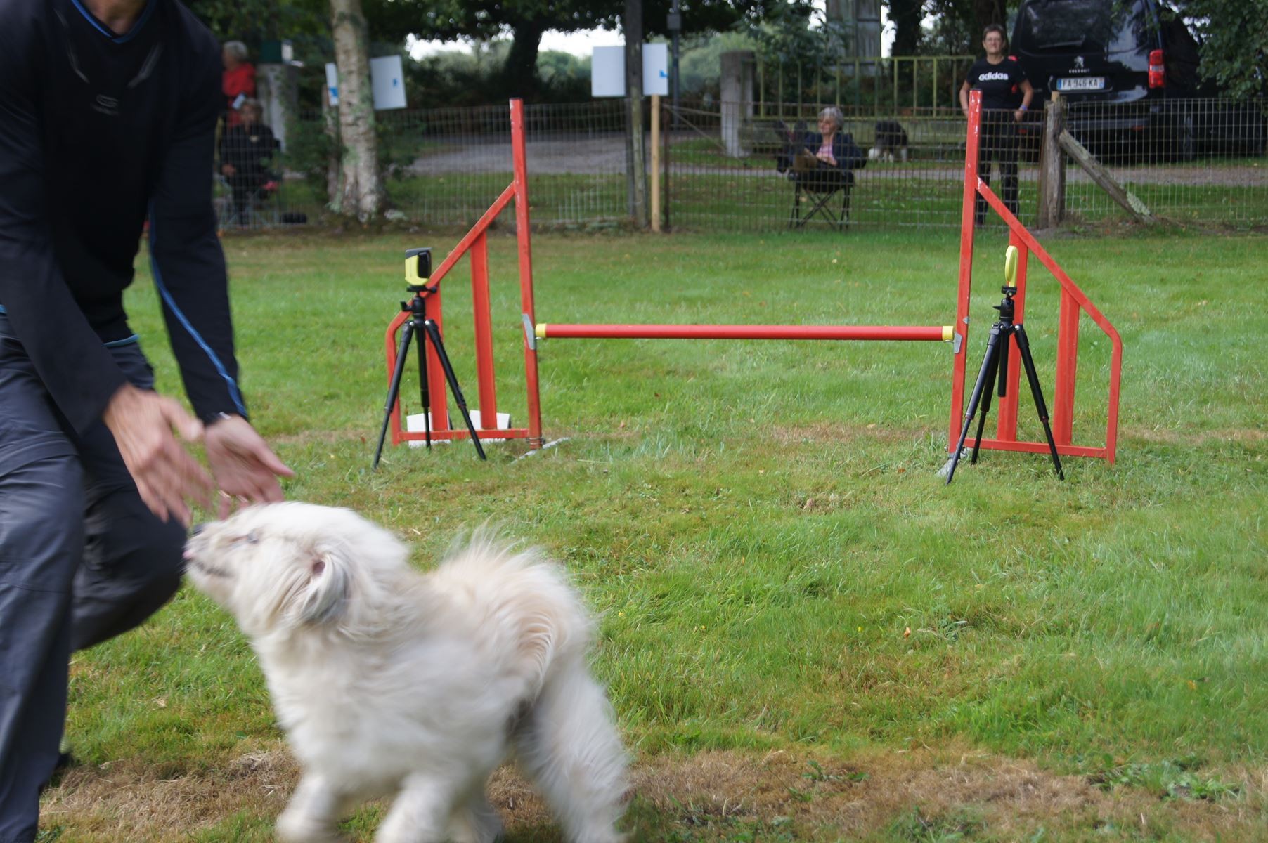  CONCOURS AGILITY 28 AOÛT 2022