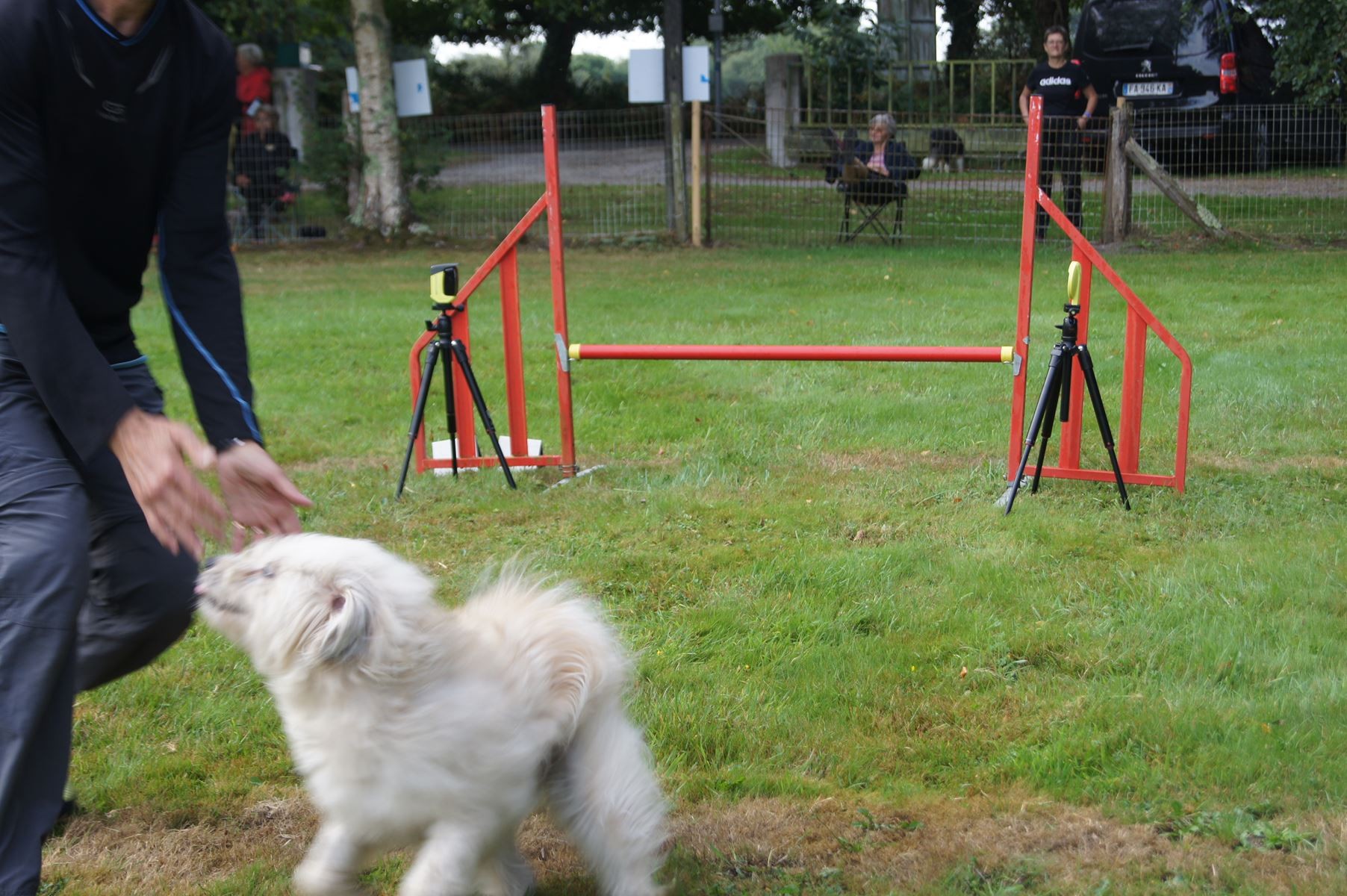  CONCOURS AGILITY 28 AOÛT 2022