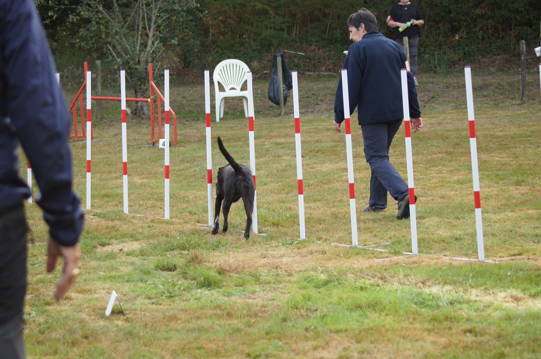  CONCOURS AGILITY 28 AOÛT 2022