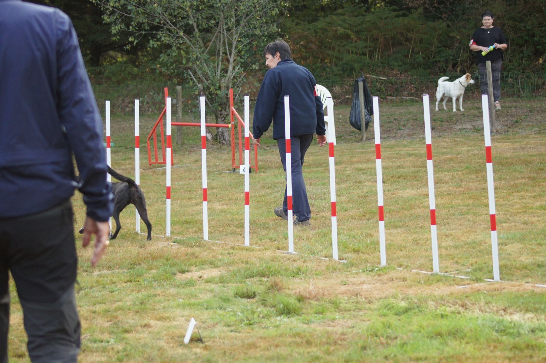  CONCOURS AGILITY 28 AOÛT 2022