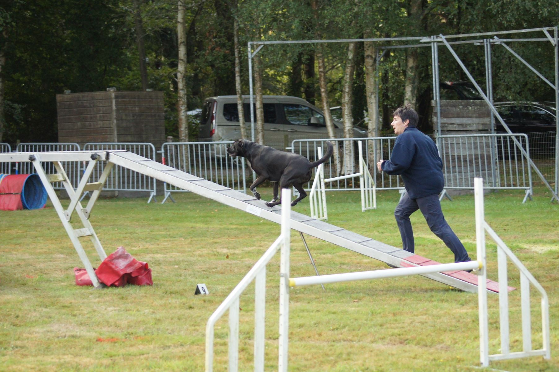  CONCOURS AGILITY 28 AOÛT 2022