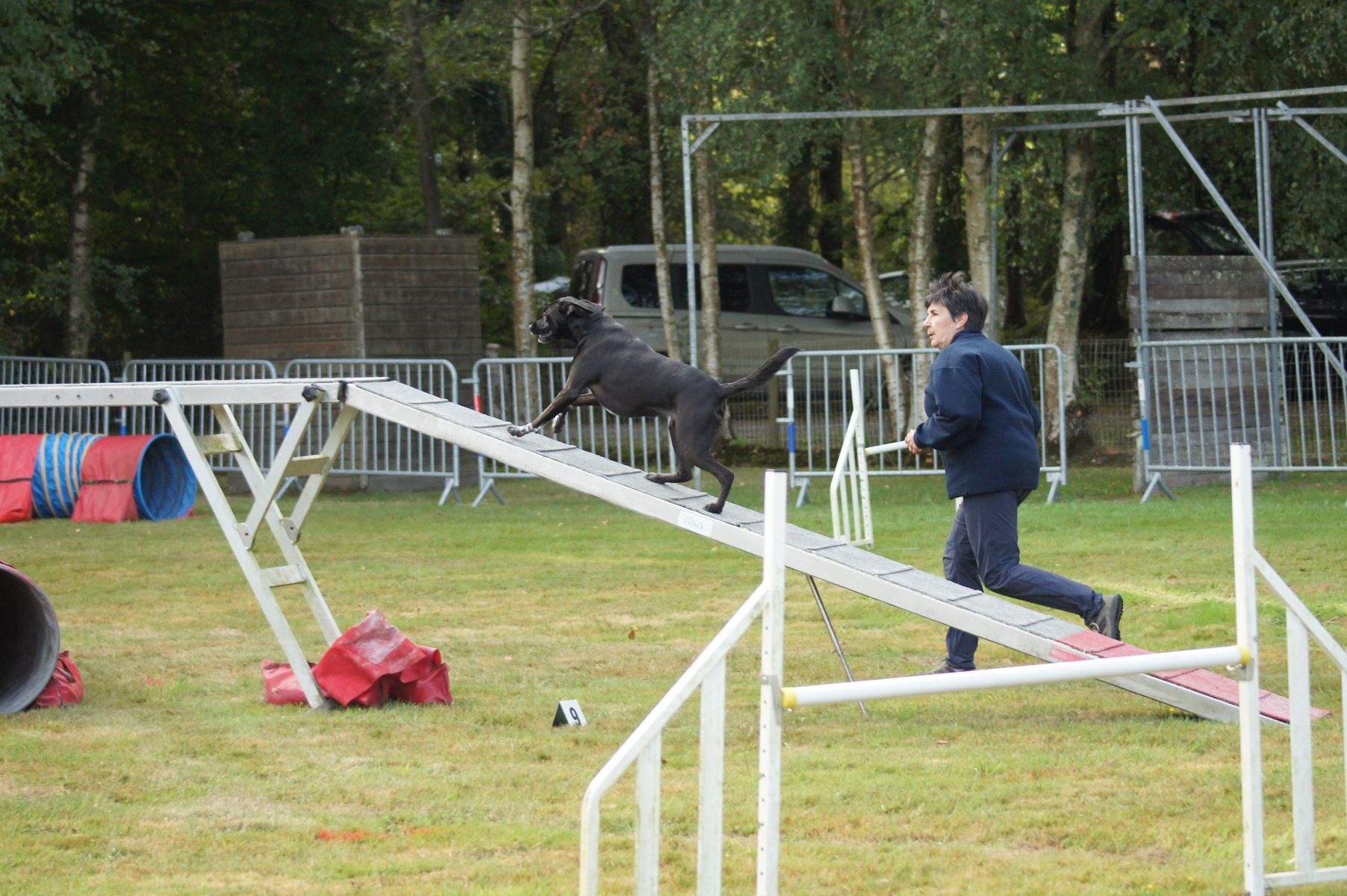  CONCOURS AGILITY 28 AOÛT 2022