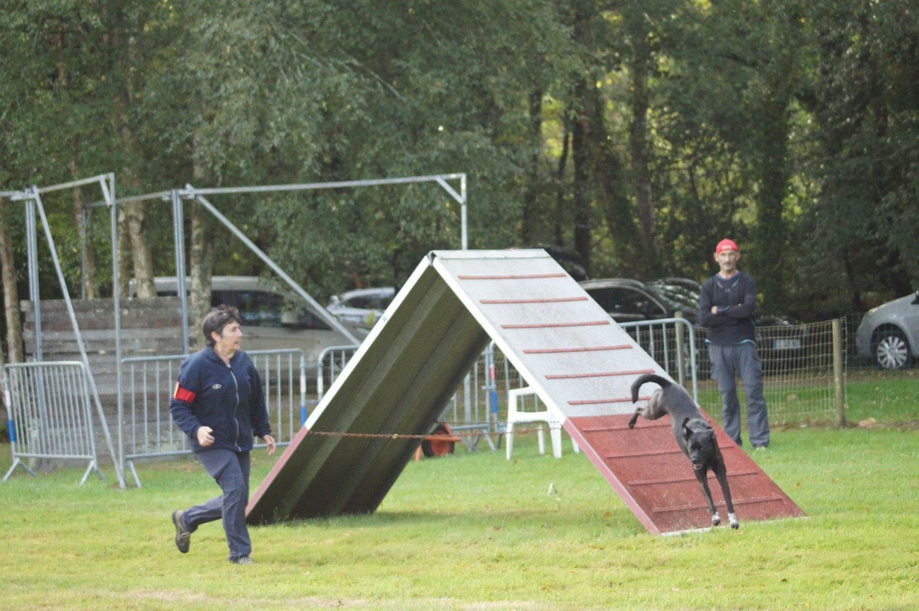  CONCOURS AGILITY 28 AOÛT 2022