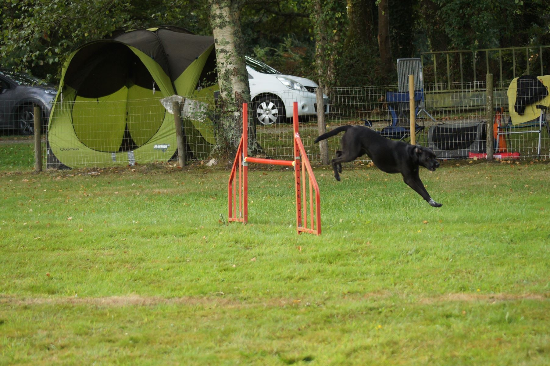  CONCOURS AGILITY 28 AOÛT 2022