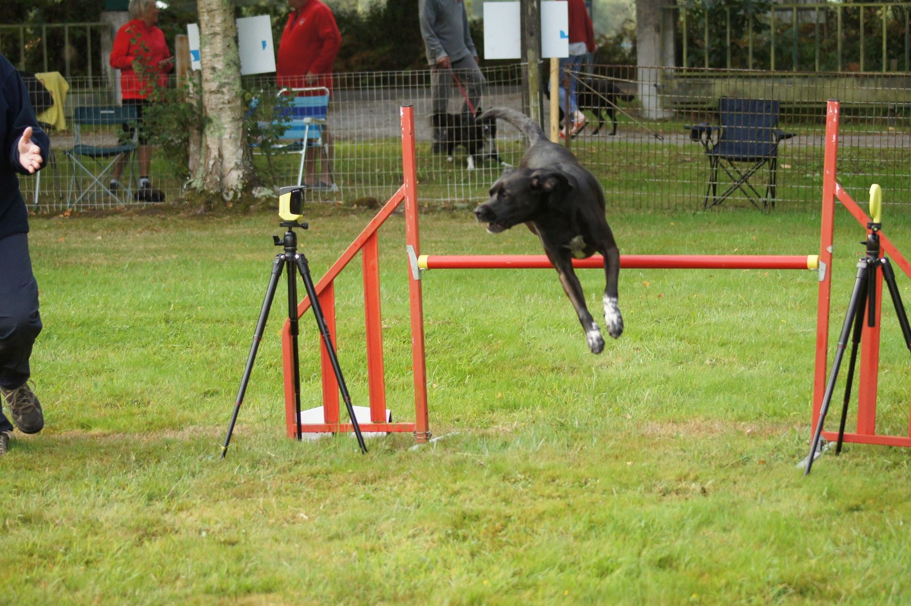  CONCOURS AGILITY 28 AOÛT 2022