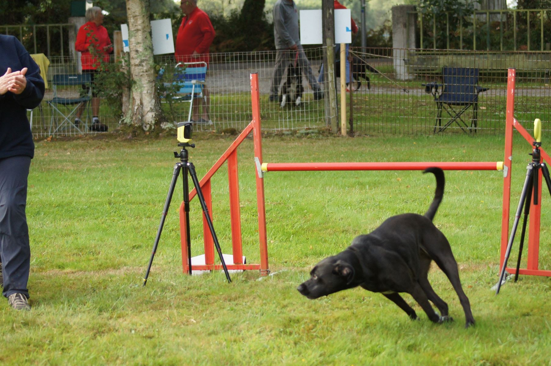  CONCOURS AGILITY 28 AOÛT 2022