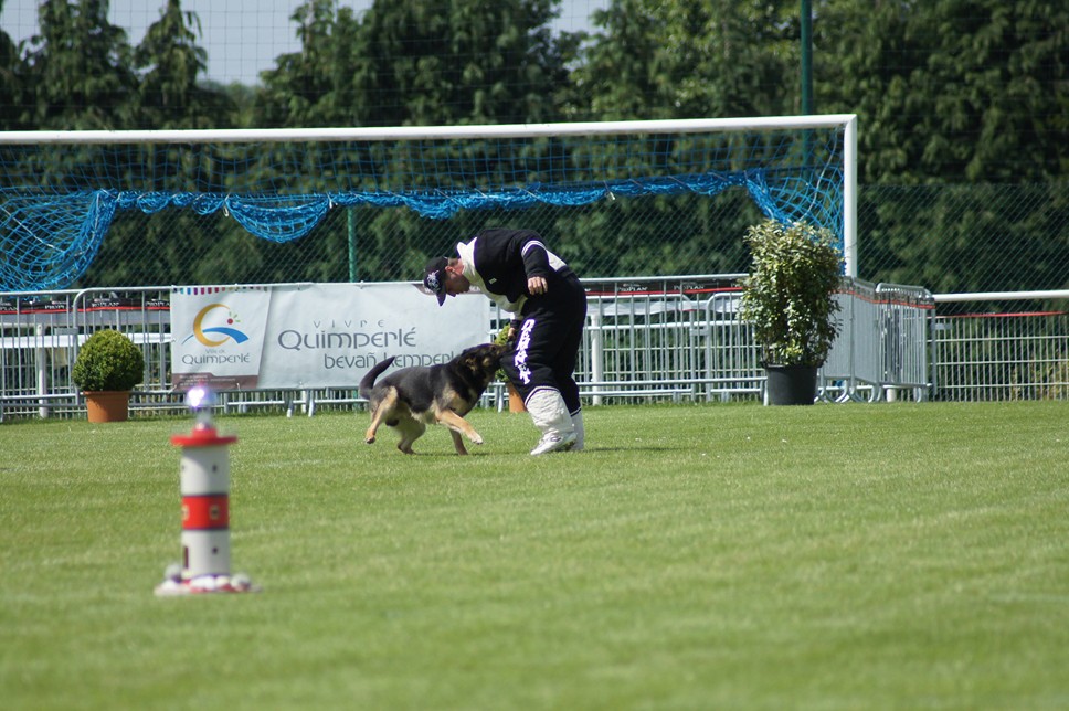 Championnat de France RING 29 ET 30 JUIN 2013 A QUIMPERLE