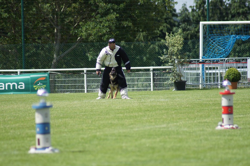 Championnat de France RING 29 ET 30 JUIN 2013 A QUIMPERLE