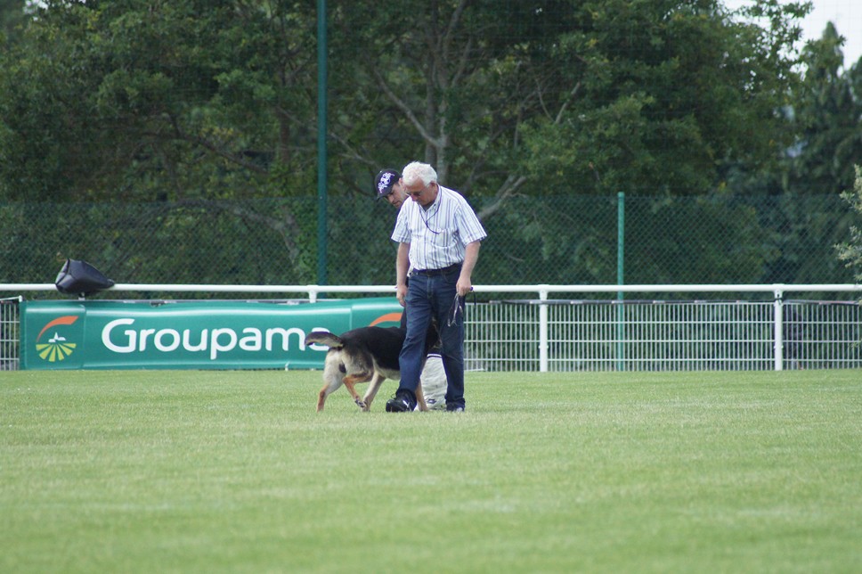 Championnat de France RING 29 ET 30 JUIN 2013 A QUIMPERLE