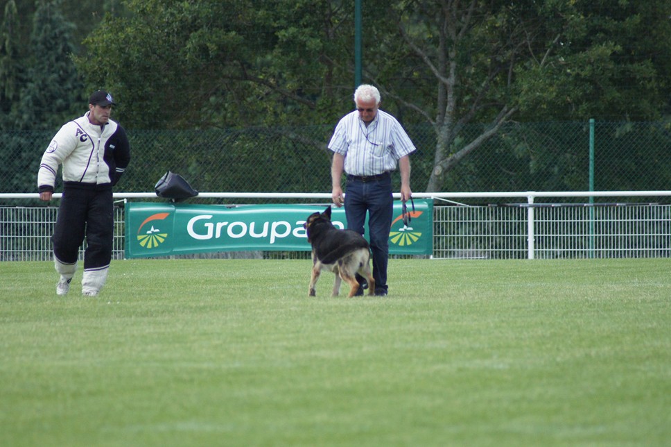 Championnat de France RING 29 ET 30 JUIN 2013 A QUIMPERLE