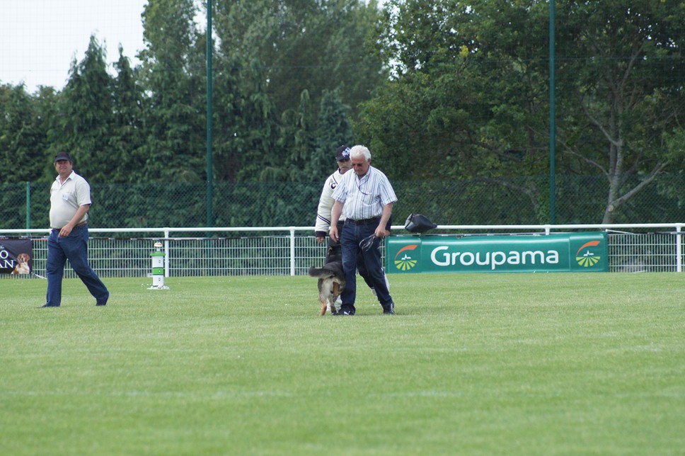 Championnat de France RING 29 ET 30 JUIN 2013 A QUIMPERLE