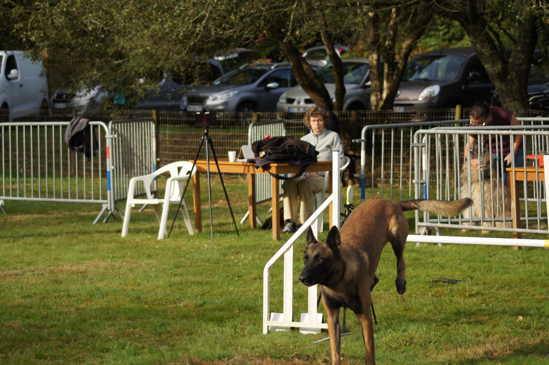  CONCOURS AGILITY 28 AOÛT 2022