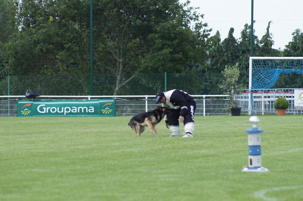 Championnat de France RING 29 ET 30 JUIN 2013 A QUIMPERLE