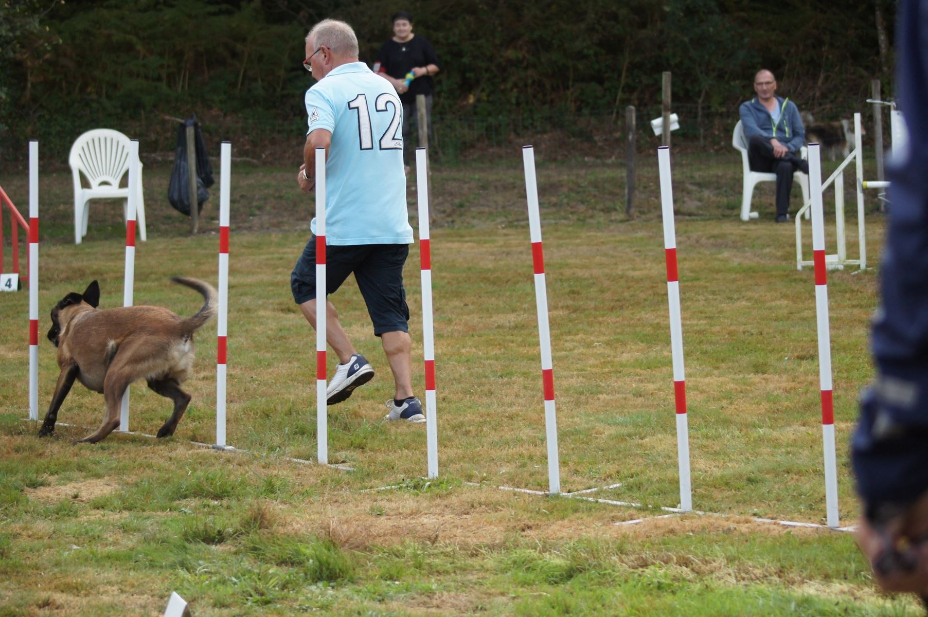  CONCOURS AGILITY 28 AOÛT 2022